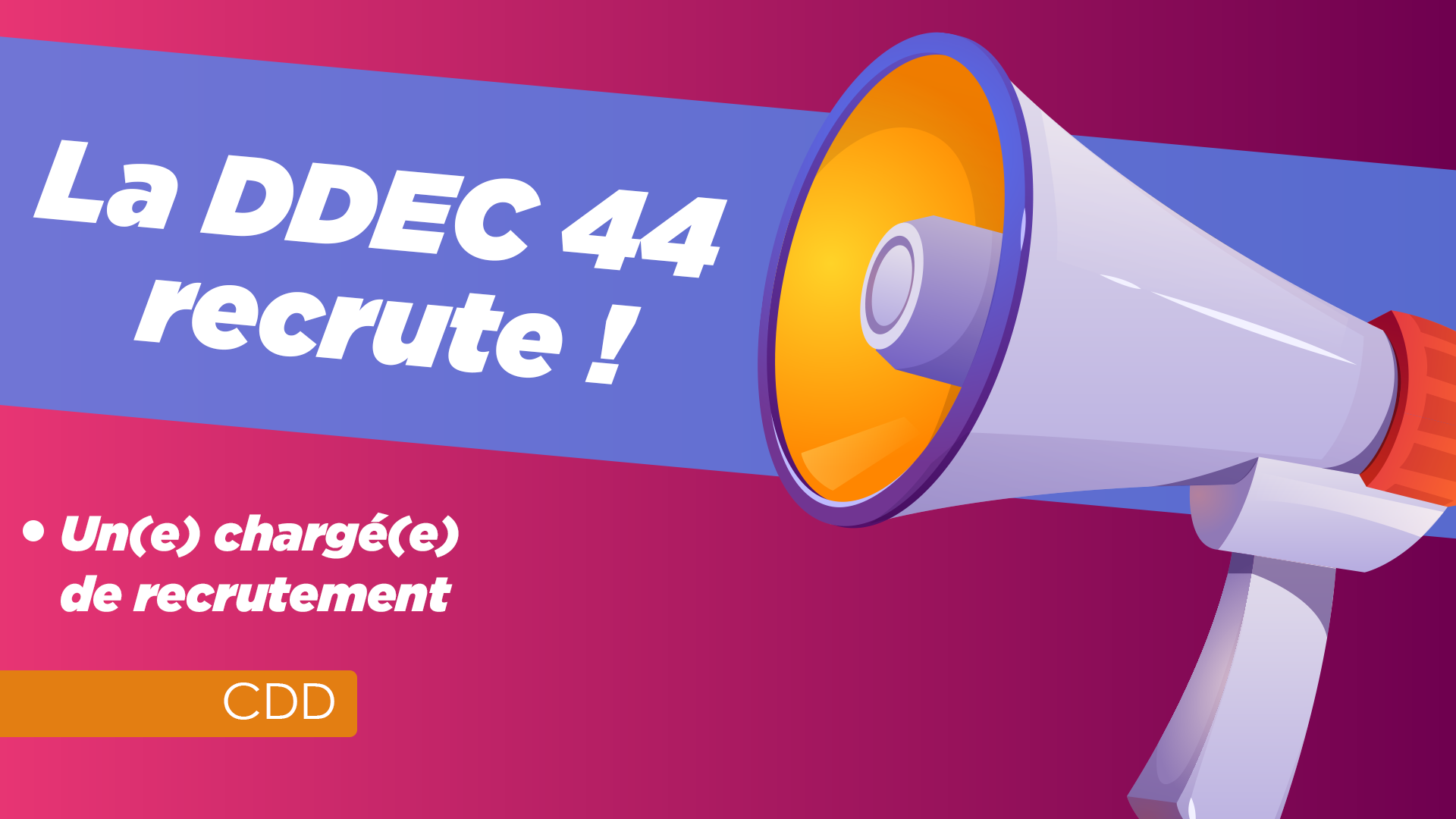 La DDEC 44 recrute !